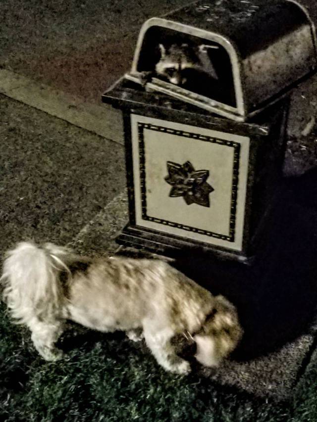 daily picdump 104 pics 2.html - 104 HD Photos | Premium Gallery 2017