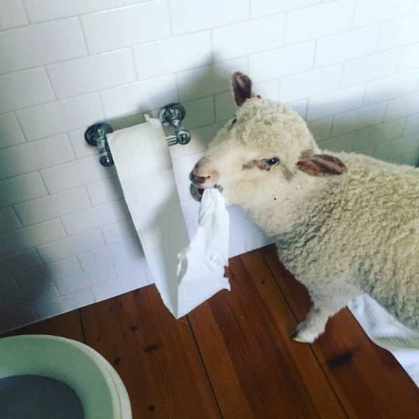 daily picdump 106 pics 15.html - 106 HD Photos | Premium Gallery 2017