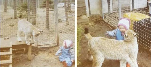 daily picdump 106 pics 15.html - 106 HD Photos | Premium Gallery 2017