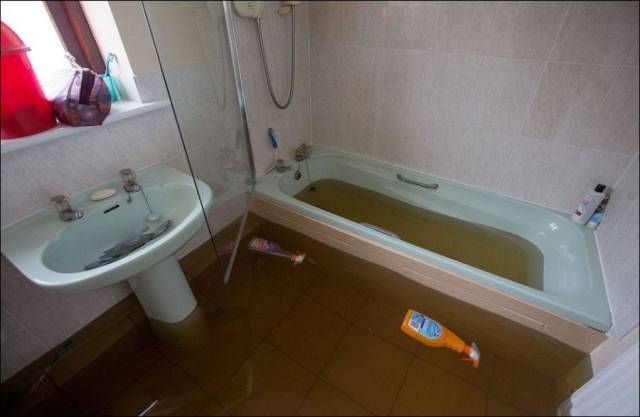 daily picdump 106 pics 15.html - 106 HD Photos | Premium Gallery 2017