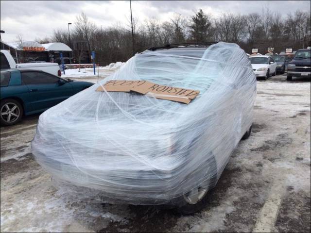 daily picdump 106 pics 15.html - 106 HD Photos | Premium Gallery 2017