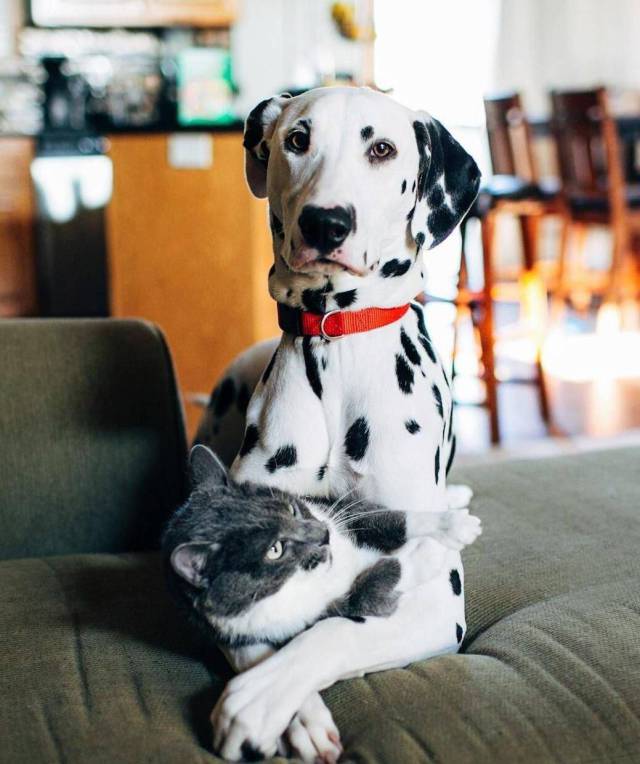 daily picdump 106 pics 15.html - 106 HD Photos | Premium Gallery 2017