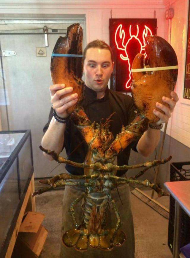 daily picdump 106 pics 15.html - 106 HD Photos | Premium Gallery 2017