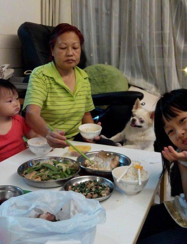 daily picdump 106 pics 15.html - 106 HD Photos | Premium Gallery 2017