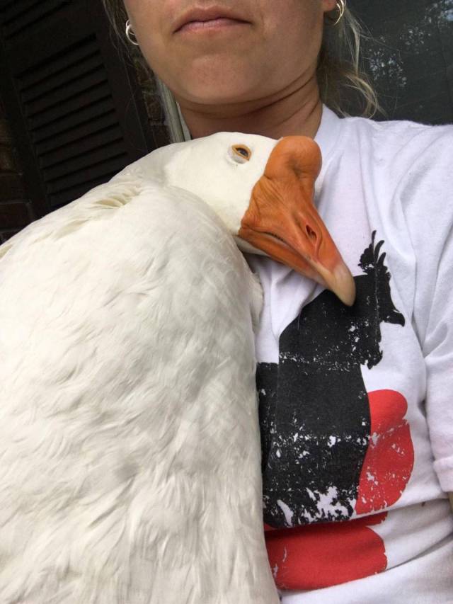 daily picdump 106 pics 15.html - 106 HD Photos | Premium Gallery 2017