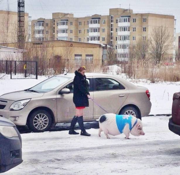 Hard-to-explain WTF Photos