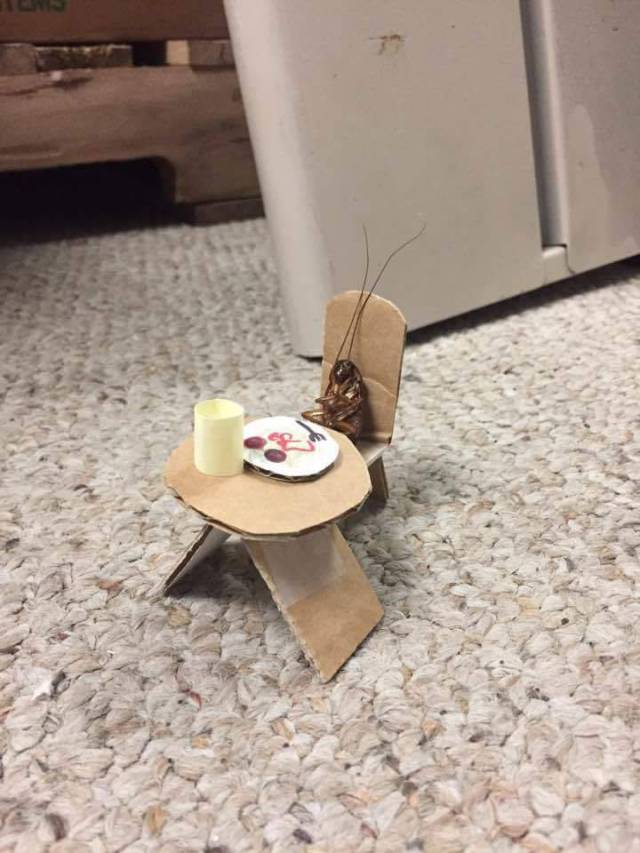 Hard-to-explain WTF Photos