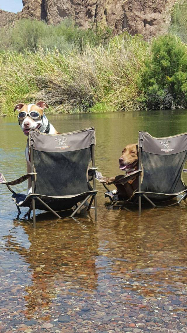 morning picdump 51 pics 4.html - 51 HD Photos | Premium Gallery 2017