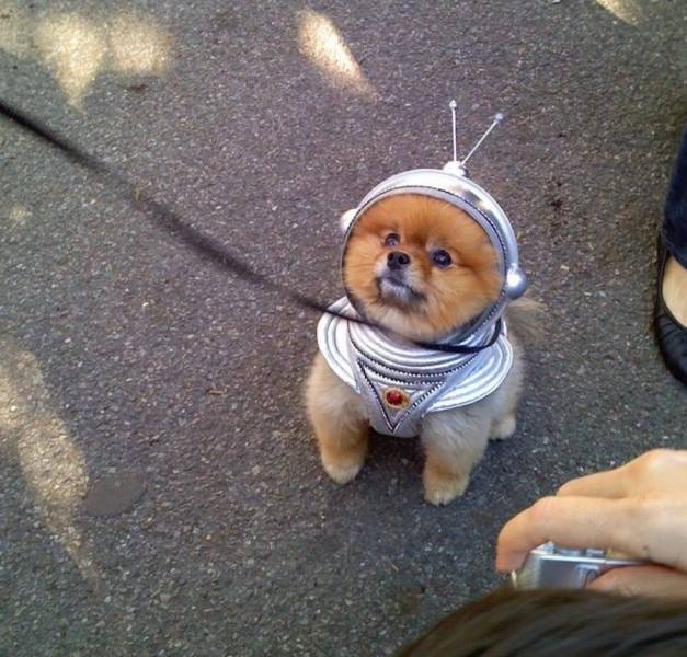 daily picdump 96 pics 1.html - 96 HD Photos | Premium Gallery 2017