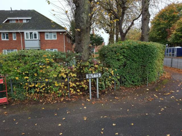 daily picdump 96 pics 1.html - 96 HD Photos | Premium Gallery 2017