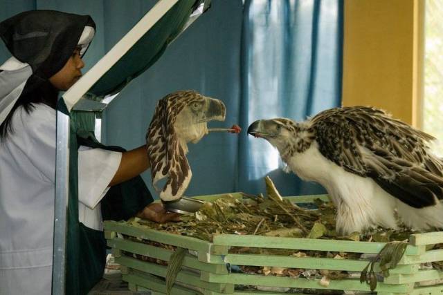 daily picdump 96 pics 1.html - 96 HD Photos | Premium Gallery 2017