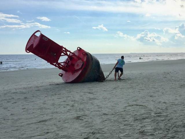 daily picdump 96 pics 1.html - 96 HD Photos | Premium Gallery 2017