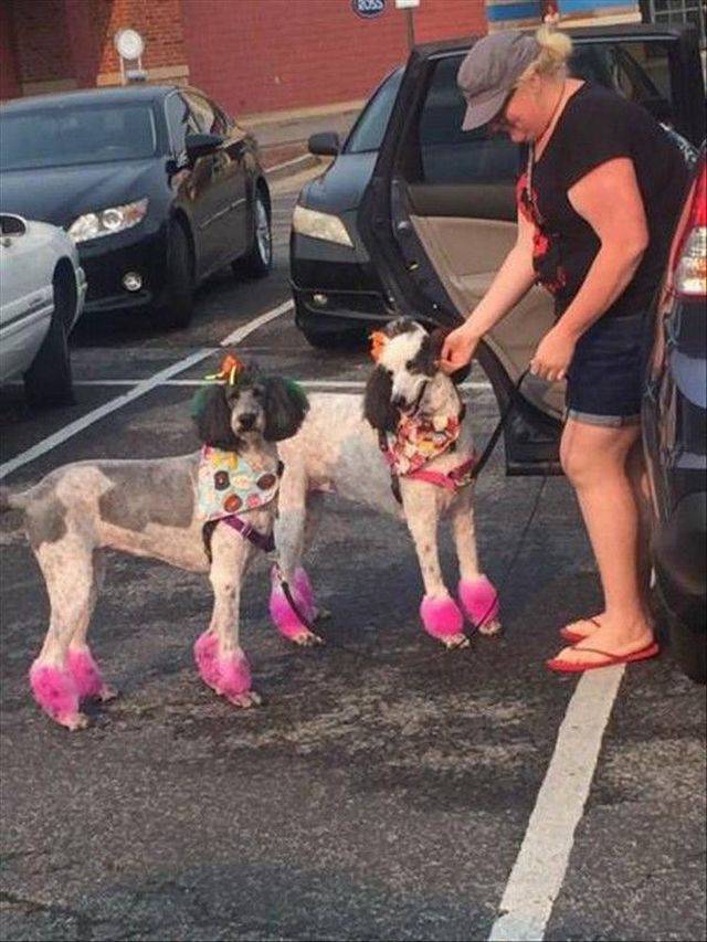 daily picdump 96 pics 1.html - 96 HD Photos | Premium Gallery 2017