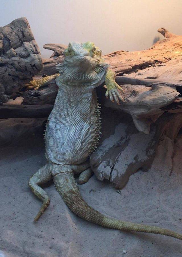 daily picdump 96 pics 1.html - 96 HD Photos | Premium Gallery 2017