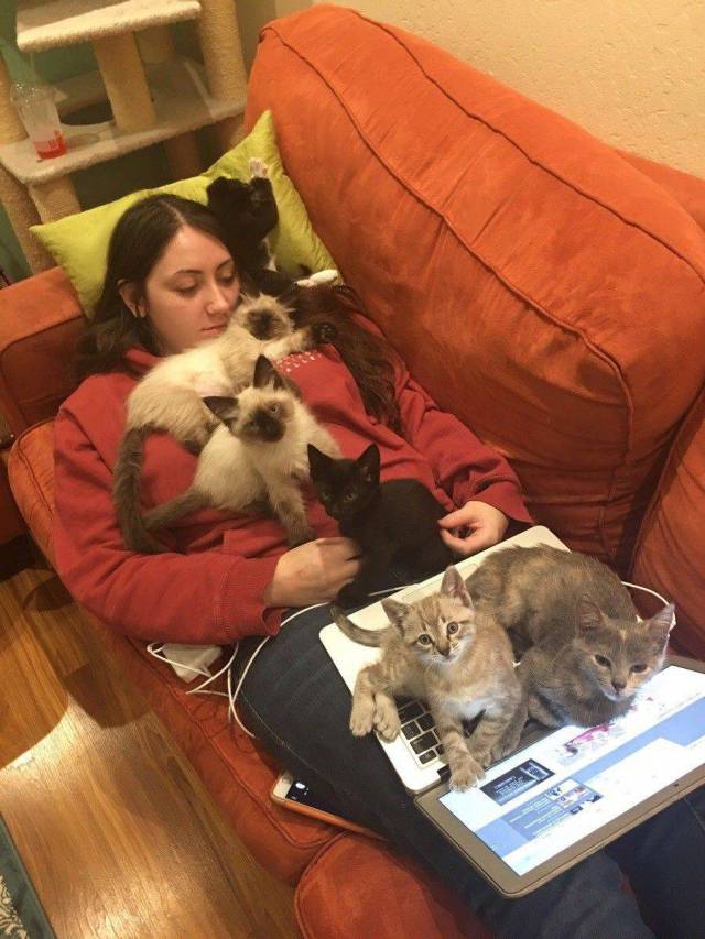 daily picdump 96 pics 1.html - 96 HD Photos | Premium Gallery 2017