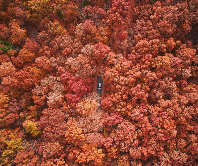 morning picdump 53 pics 17.html - 53 HD Photos | Premium Gallery 2017