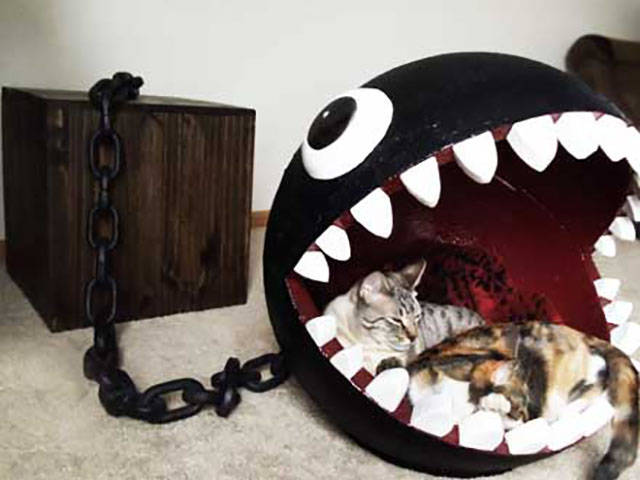 morning picdump 53 pics 17.html - 53 HD Photos | Premium Gallery 2017