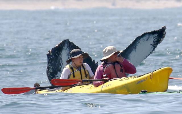 daily picdump 93 pics 8.html - 93 HD Photos | Premium Gallery 2017