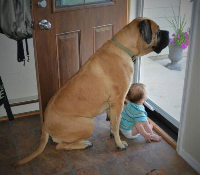 daily picdump 93 pics 8.html - 93 HD Photos | Premium Gallery 2017