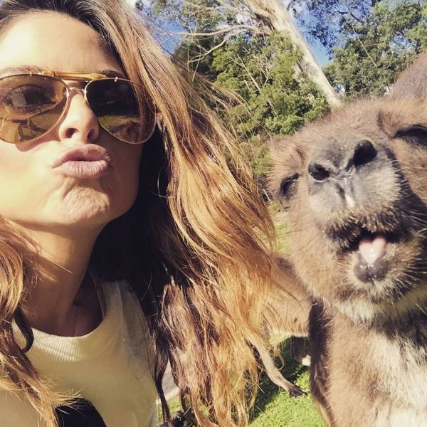 daily picdump 93 pics 8.html - 93 HD Photos | Premium Gallery 2017