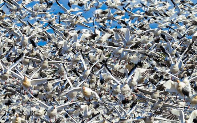 daily picdump 93 pics 8.html - 93 HD Photos | Premium Gallery 2017