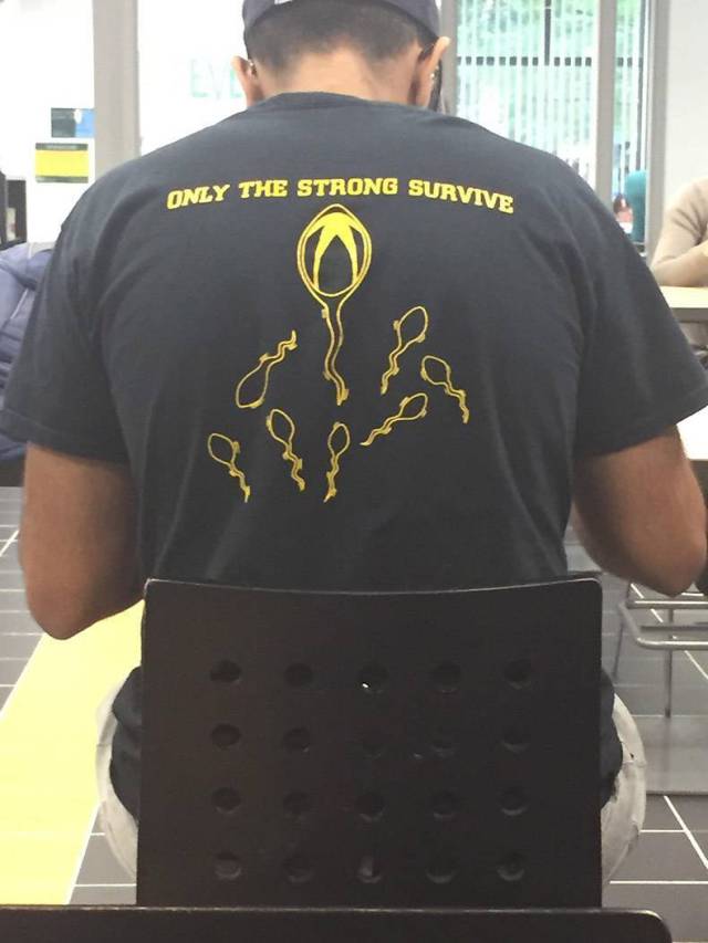 daily picdump 93 pics 8.html - 93 HD Photos | Premium Gallery 2017