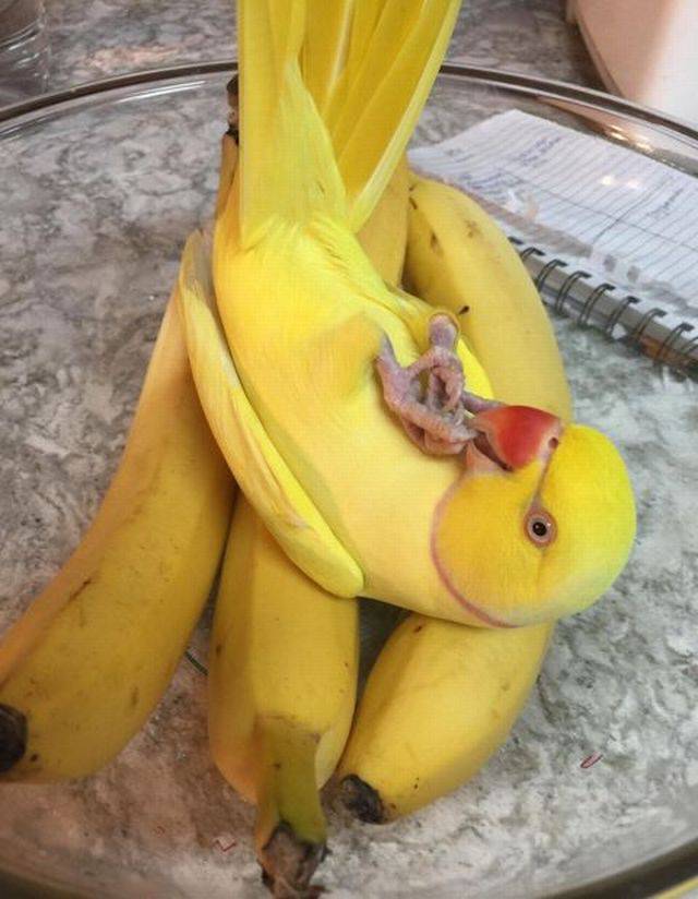 daily picdump 93 pics 8.html - 93 HD Photos | Premium Gallery 2017