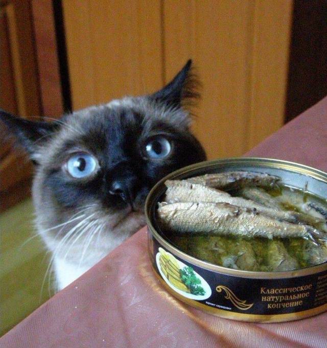 daily picdump 93 pics 8.html - 93 HD Photos | Premium Gallery 2017