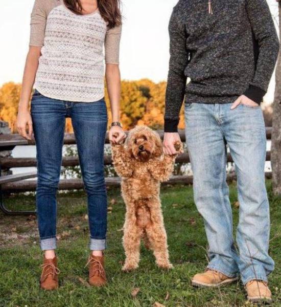 morning picdump 51 pics 4.html - 51 HD Photos | Premium Gallery 2017