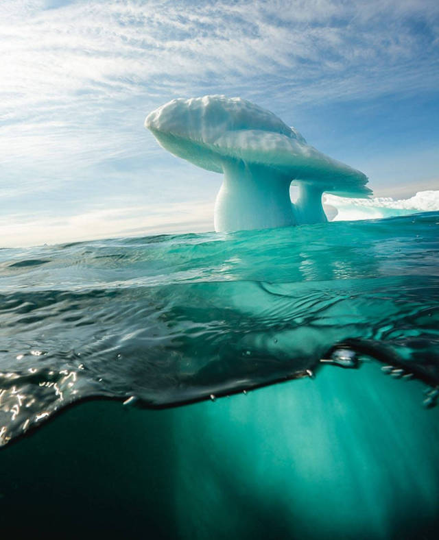 morning picdump 51 pics 4.html - 51 HD Photos | Premium Gallery 2017