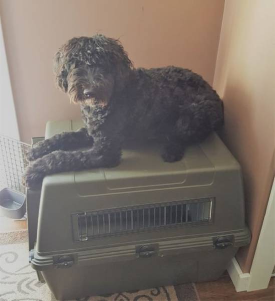 Anarchy Is Reigning In The First World