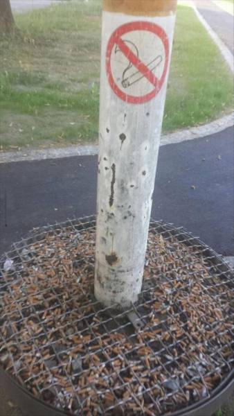 Anarchy Is Reigning In The First World