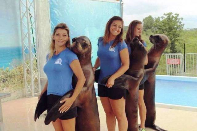 daily picdump 100 pics 39.html - 100 HD Photos | Premium Gallery 2017