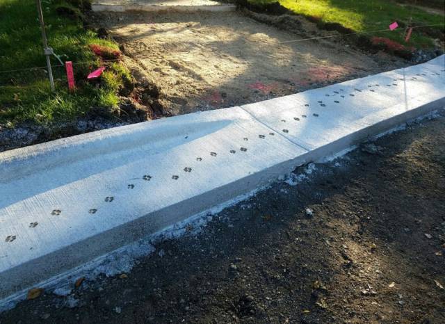 daily picdump 100 pics 39.html - 100 HD Photos | Premium Gallery 2017