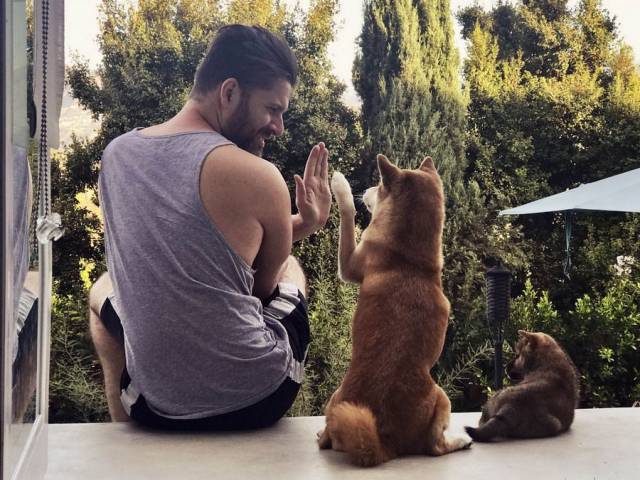 daily picdump 100 pics 39.html - 100 HD Photos | Premium Gallery 2017