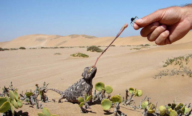 daily picdump 100 pics 39.html - 100 HD Photos | Premium Gallery 2017