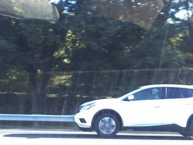 daily picdump 100 pics 39.html - 100 HD Photos | Premium Gallery 2017