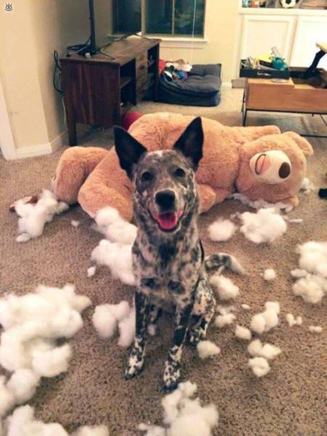 daily picdump 100 pics 39.html - 100 HD Photos | Premium Gallery 2017