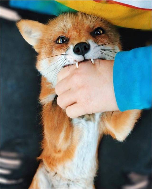 daily picdump 100 pics 39.html - 100 HD Photos | Premium Gallery 2017