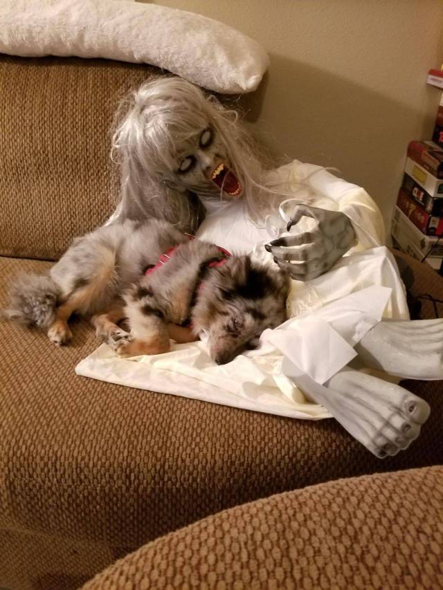 daily picdump 100 pics 39.html - 100 HD Photos | Premium Gallery 2017