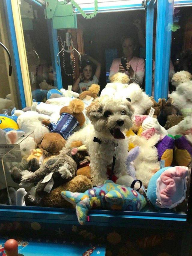 daily picdump 100 pics 39.html - 100 HD Photos | Premium Gallery 2017