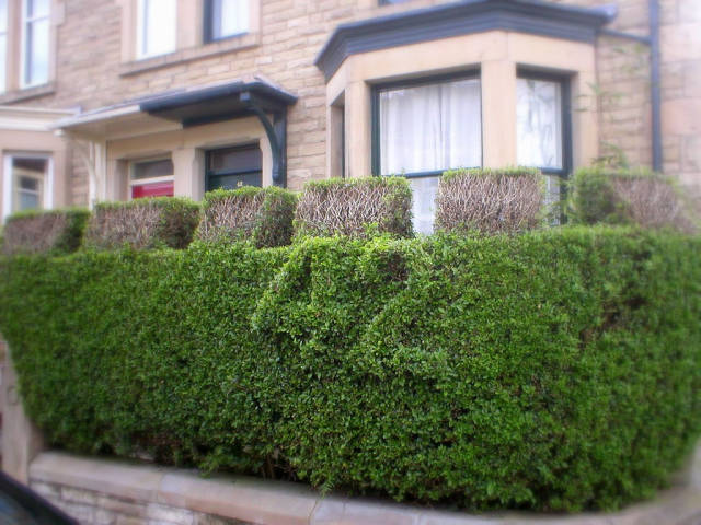 morning picdump 50 pics 6.html - 50 HD Photos | Premium Gallery 2017