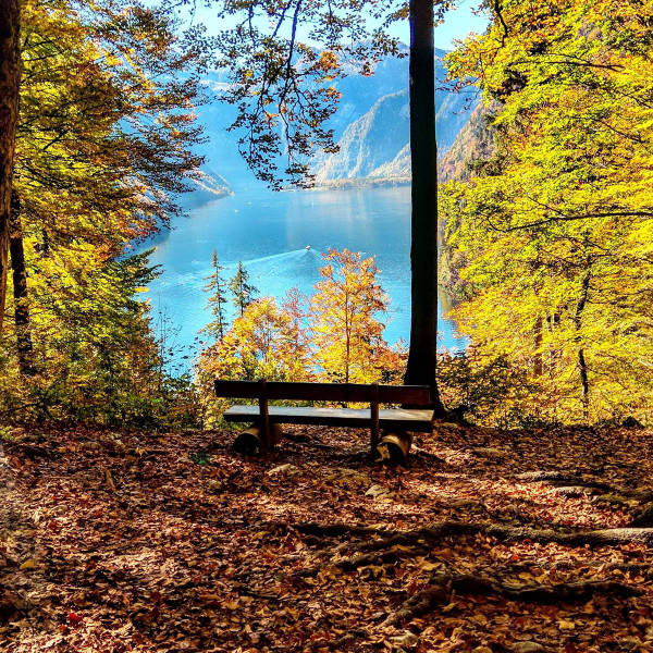 morning picdump 50 pics 6.html - 50 HD Photos | Premium Gallery 2017