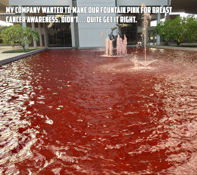 morning picdump 50 pics 6.html - 50 HD Photos | Premium Gallery 2017