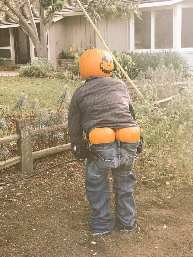 Daily Picdump [WEEKEND EDITION]