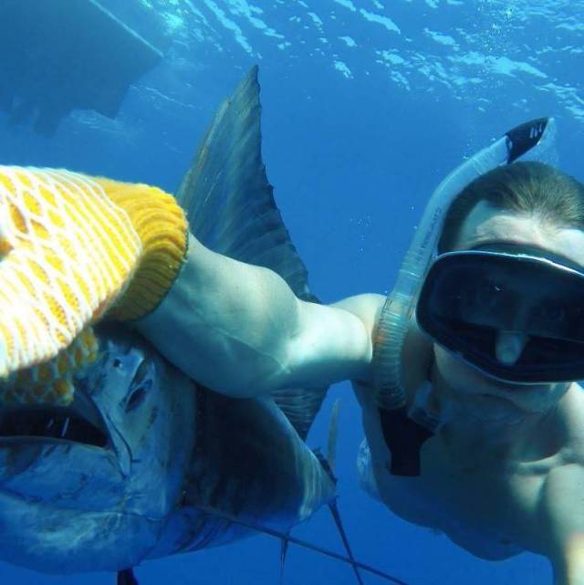 Daily Picdump [WEEKEND EDITION]