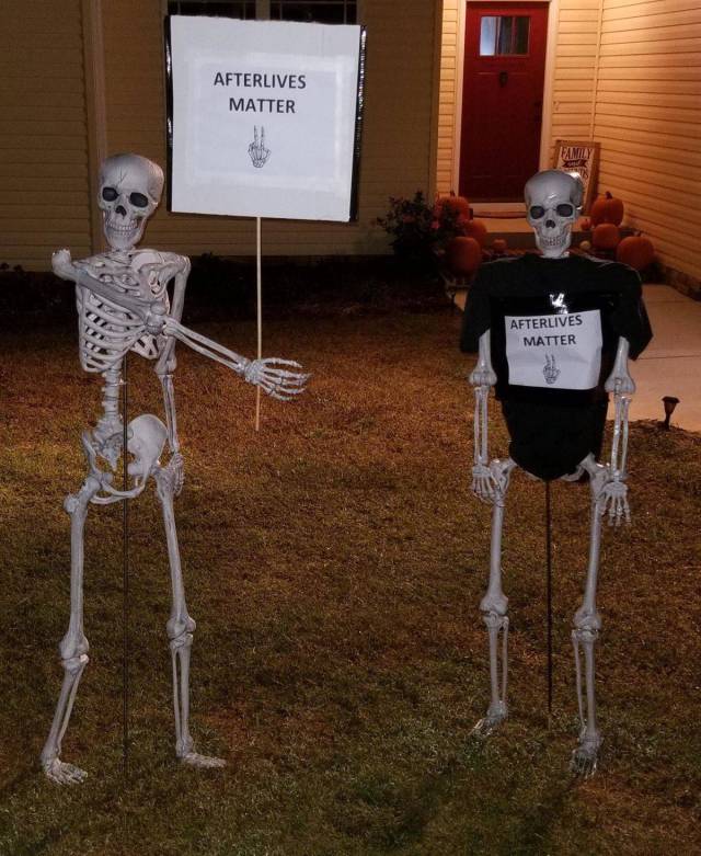 daily picdump weekend edition 66 pics 21.html - 66 HD Photos | Premium Gallery 2017