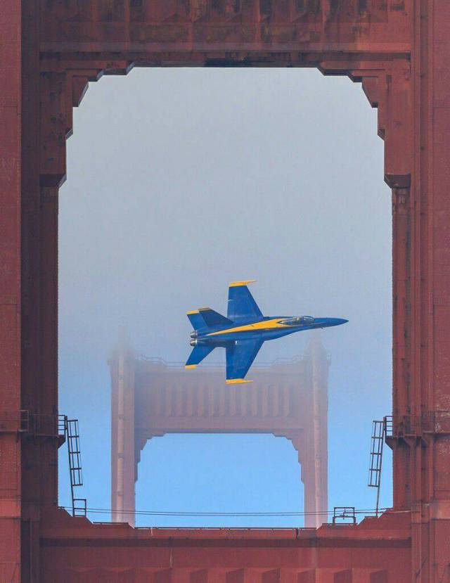 daily picdump weekend edition 66 pics 21.html - 66 HD Photos | Premium Gallery 2017