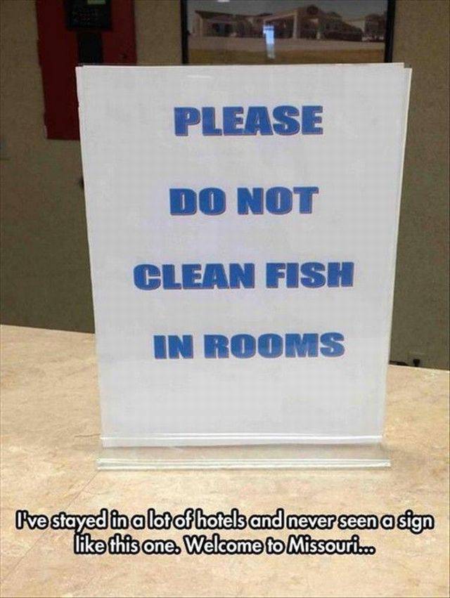 daily picdump weekend edition 66 pics 21.html - 66 HD Photos | Premium Gallery 2017