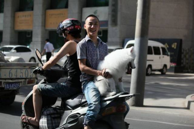 Asians Are Always Hilarious